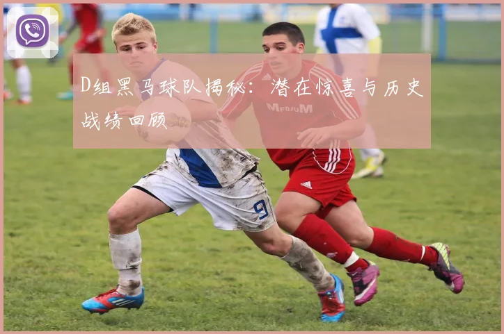 D组黑马球队揭秘：潜在惊喜与历史战绩回顾